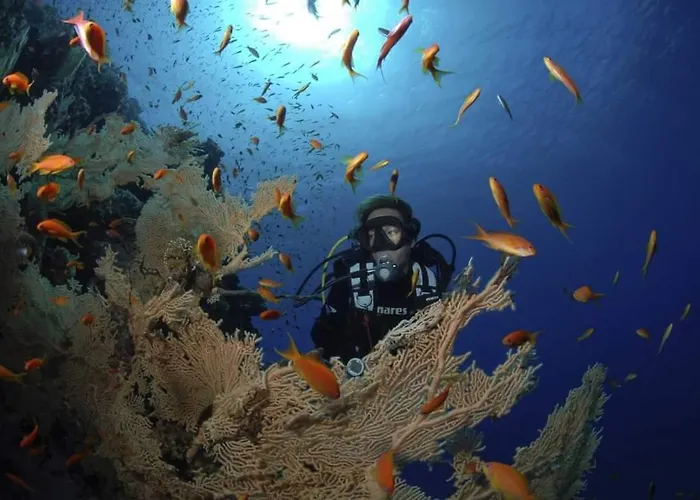 Alpesi faház Mesca Soma Bay